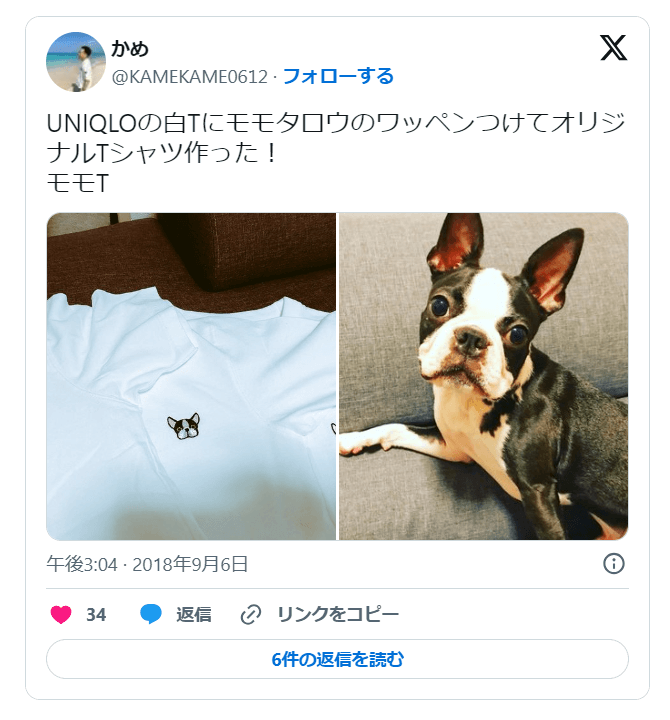 ワッペンTシャツ5